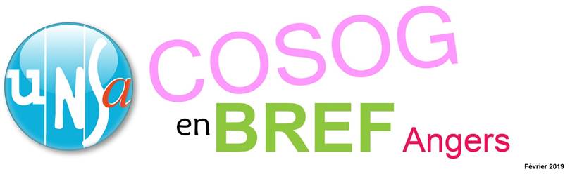 Info COSOG Angers – Février/Mars 2019