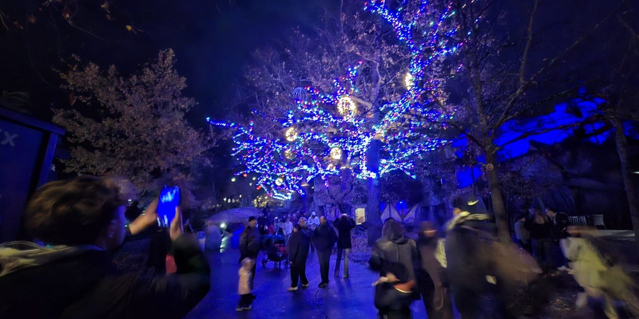 Noël des enfants 2025 : 4 100 sourires grâce au Cosog !